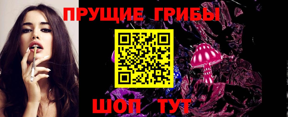 Чайковский  Псилоцибиновые грибы Psilocybe  Вход с VPN 