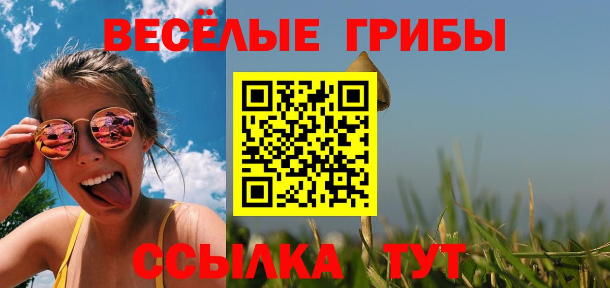 Галлюциногенные грибы Psilocybine cubensis Чайковский